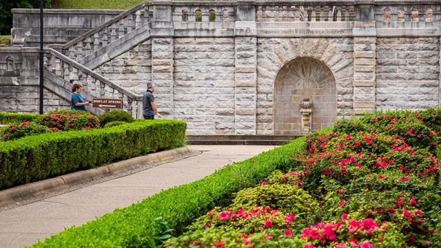 A row of pink azaleas leading up to a stone wall and fountain.
