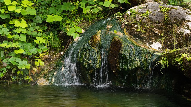 Thermal water flows over a blue-green algae filled crevice in tufa rock.