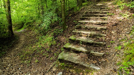Hiking information and trail maps