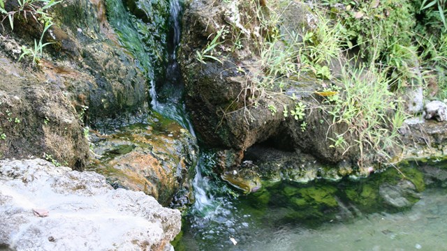 Thermal water flows over a blue-green algae filled crevice in tufa rock.