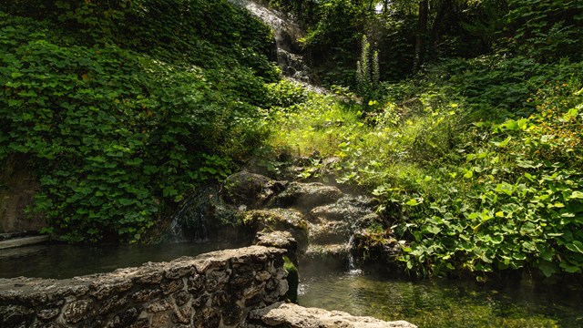 Thermal pool with green algae