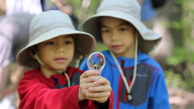 Two boys hold a magnifying glass at shoulder length and are peering through it.