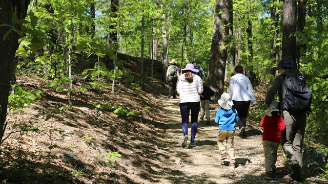 A family hikes on a shaded trail