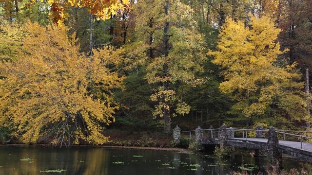 Orange and yellow leaves surround a body of water with a stone bridge.