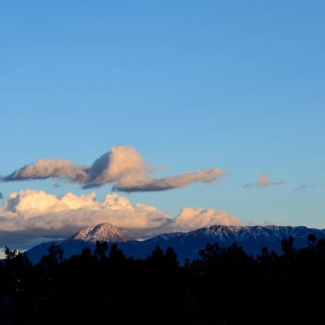 a snowy mountain range illuminated by sunlight, with shadowed foliage in front and blue skies behind