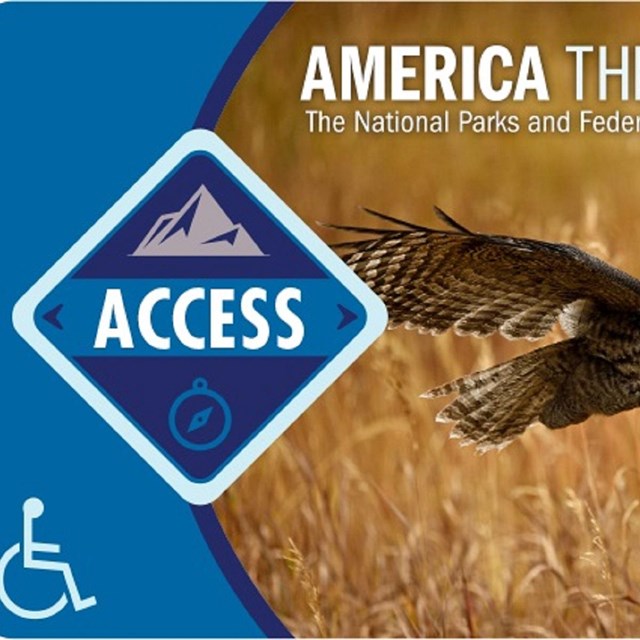 A mostly blue card is called The Access Pass, for persons with disabilities