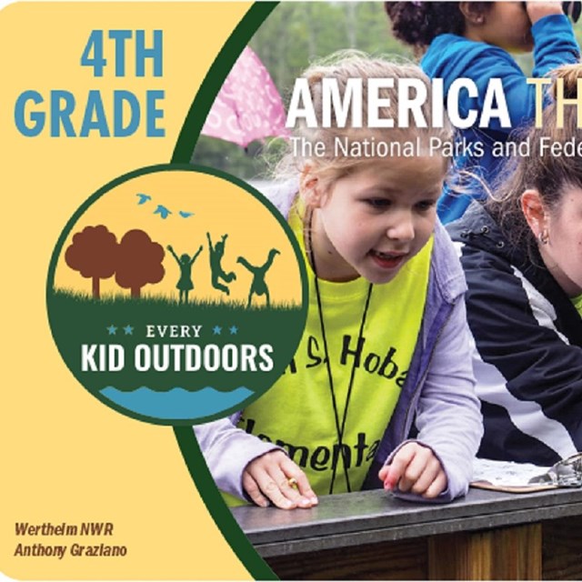 A mostly yellow card is for 4th Graders, for the Every Kid Outdoors Pass