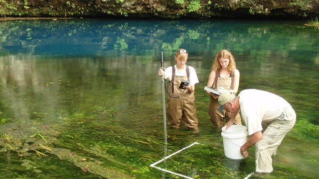 Photo of spring community sampling.