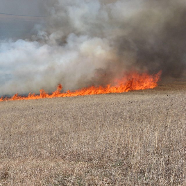 Prescribed fire at Tallgrass Prairie National Preserve
