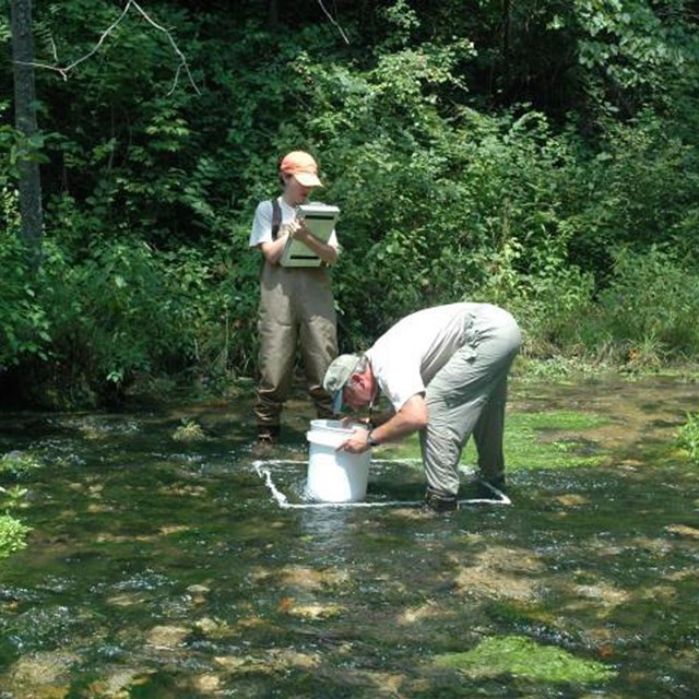 Network staff during aquatic vegetation monitoring
