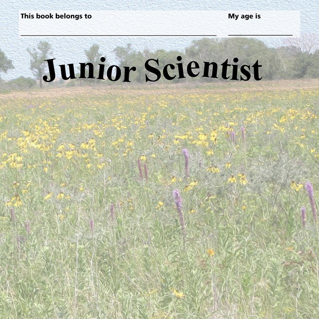 A prairie filled with yellow and purple flowers on the cover of a junior scientist booklet.