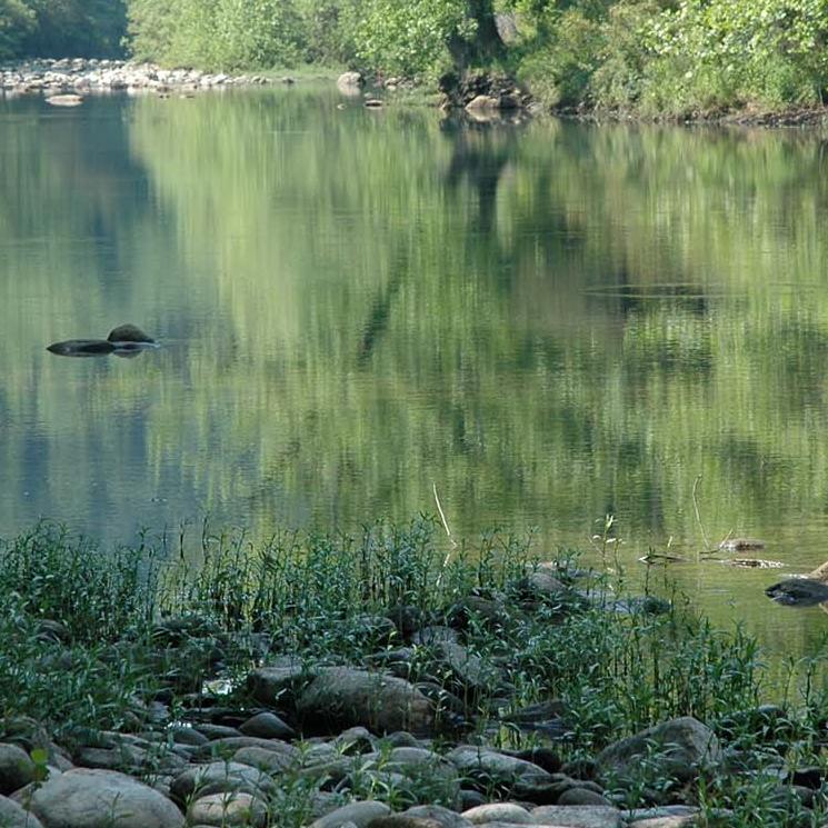 Photo Of Buffalo River from gravel bar.