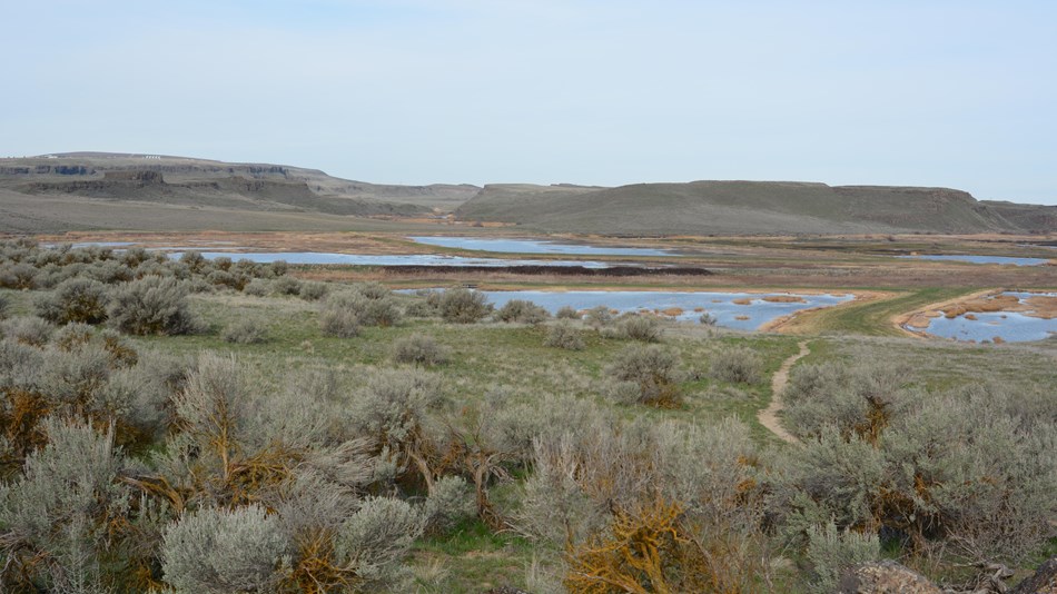 Image of Columbia National Wildlife Refuge and the Channel Scabland of the Drumheller Channels
