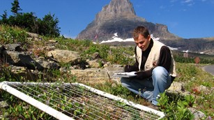 Field technician in Glacier National Park noting data from a transect set up on the ground