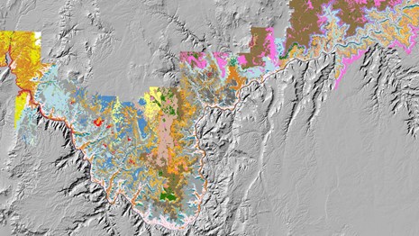 Grand Canyon map, with a rainbow of colors representing vegetation types.