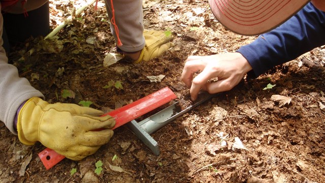 Examining a soil sample