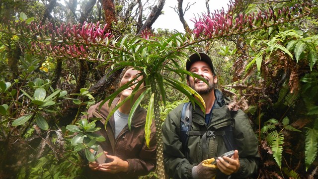 Two people smiling as they look up at a tall, flowering tropical plant.