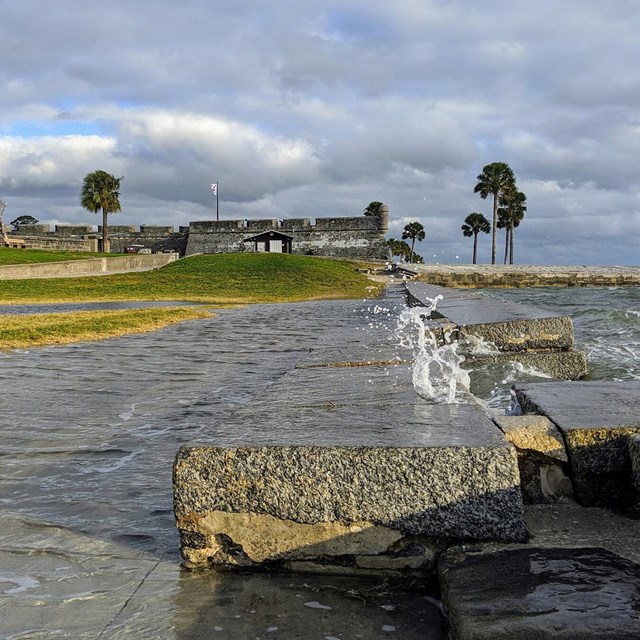 A flooded coastline due to sea level rise.