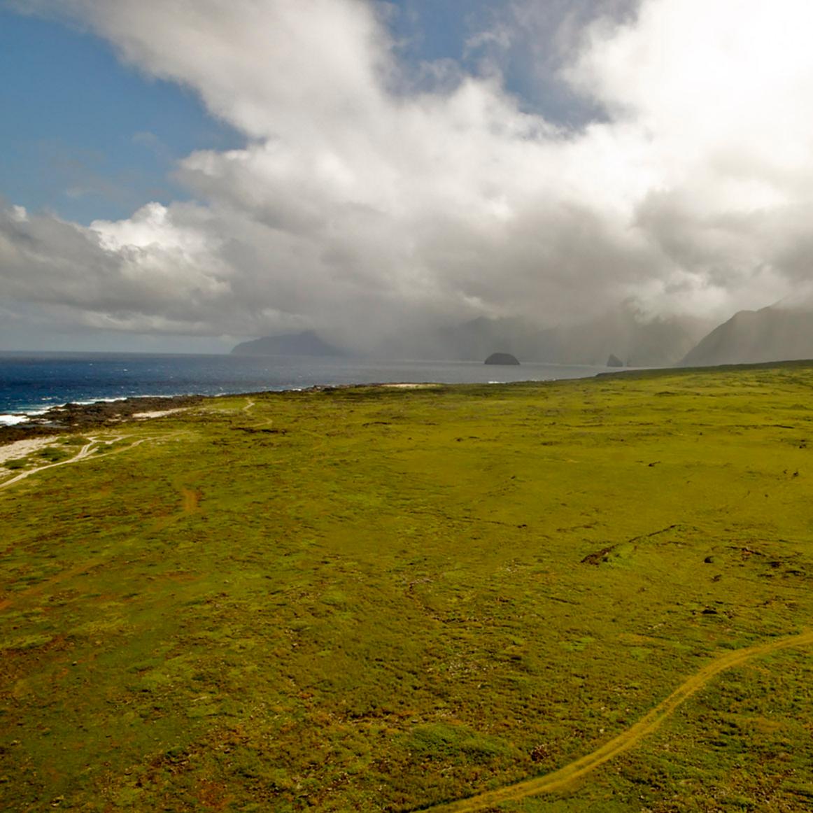 Lush Hawaiian valley.