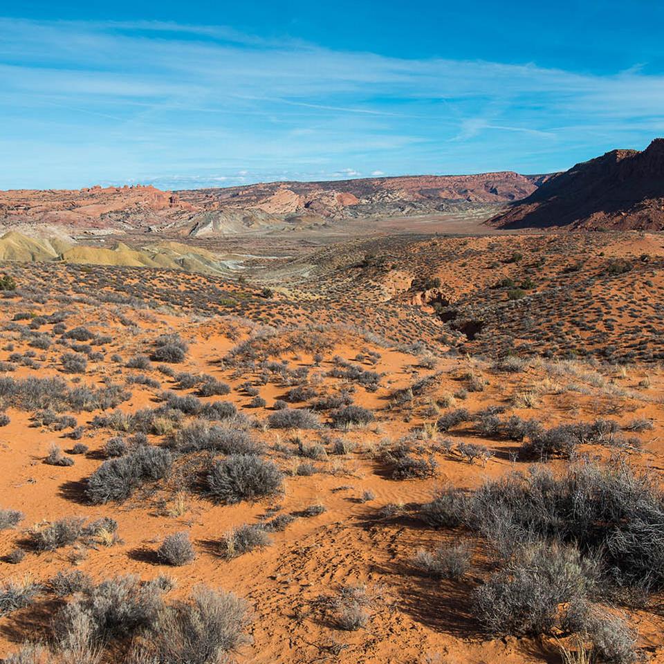 A desert landscape.