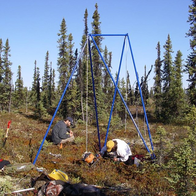 Researchers measuring peatland vegetation.