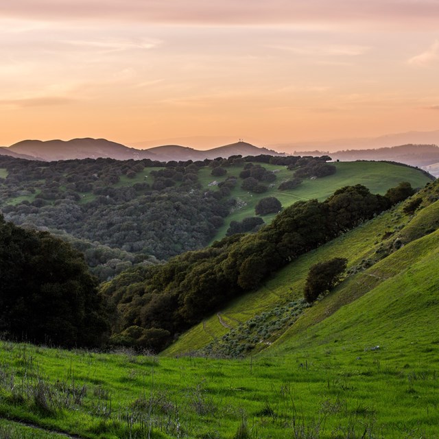 layers of green grass mountains