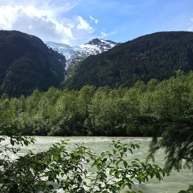 river with tall trees surrounding it and mountains in the background