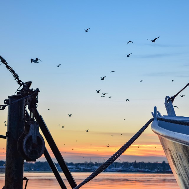 front of boat with water in the horizon and birds flying in the sky