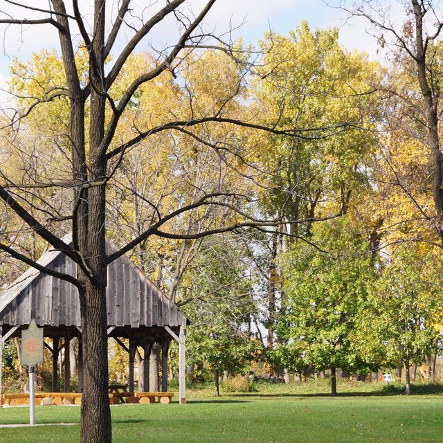 tall trees with green and yellow leaves and an old wooden cabin on the left side