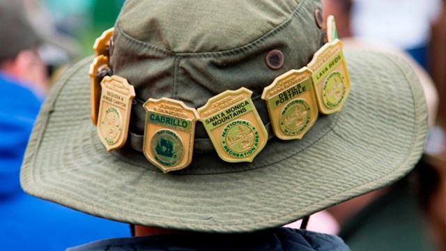 Back of a kid's hat covered with Junior Ranger badges