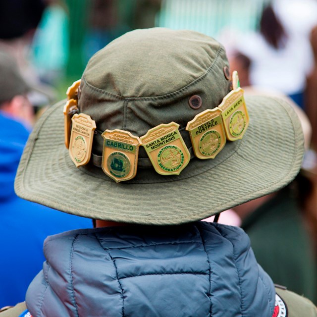 Back of a kid's hat covered with Junior Ranger badges