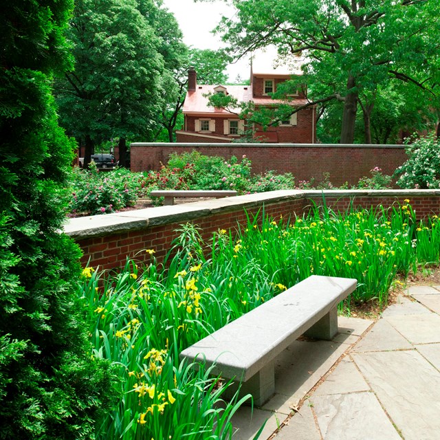 Color photo of greenery set amidst a terraced landscape.