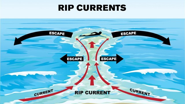 Rip Currents graphic