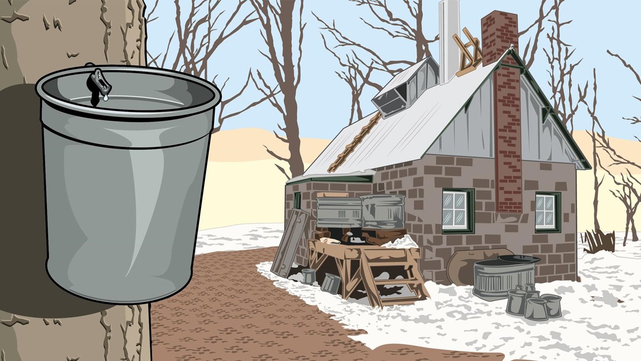 Maple Sugar Time Festival graphic