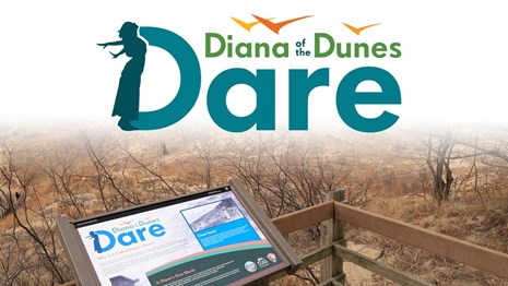 Hike and learn about Diana of the Dunes