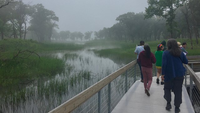 Educators cross a metal boardwalk over a marsh in Miller Woods' black oak savanna habitat.