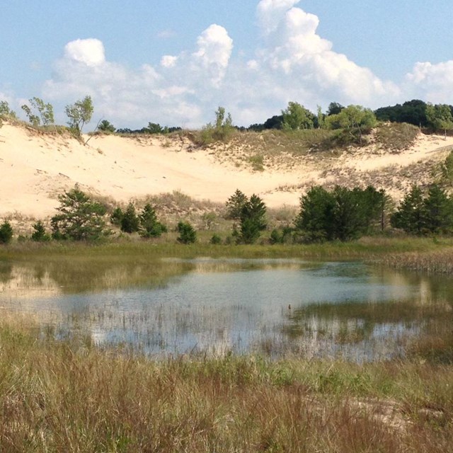 Discovering Indiana Dunes