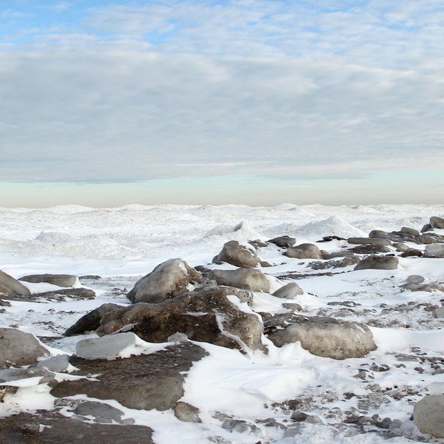 Shelf Ice at Indiana Dunes