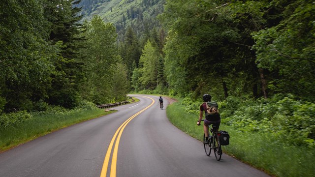 Bicyclist on a road through the woods