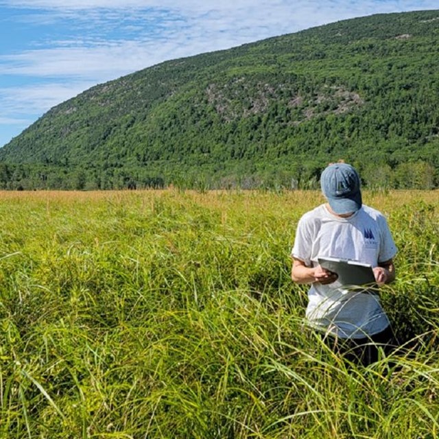 a person holding a clipboard stands in chest high grasses with hills behind them