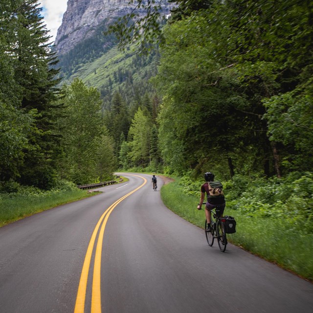 Bicyclist on a road through the woods