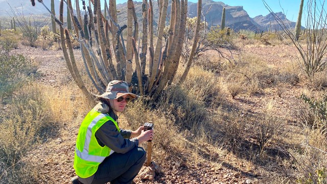 A volunteer sitting in a field