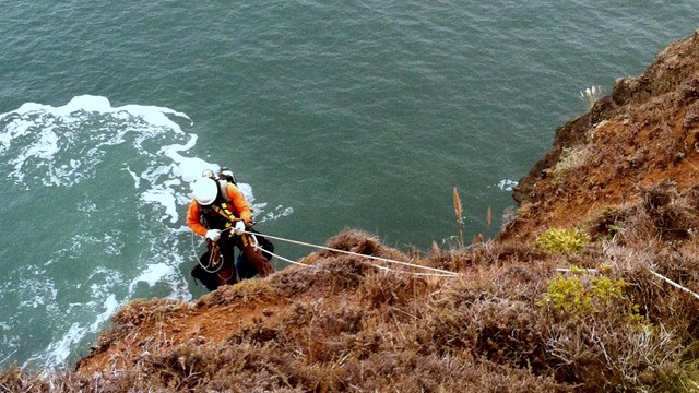 A skilled park ranger rappels down a cliffside