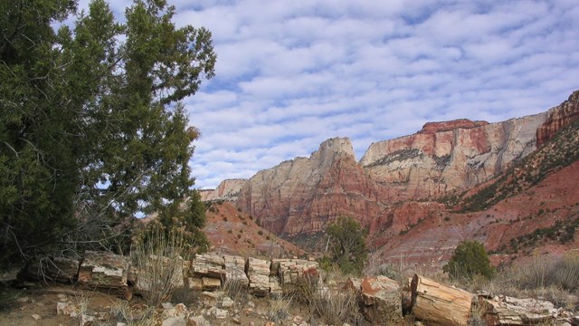 The Painted Desert in Zion National Park