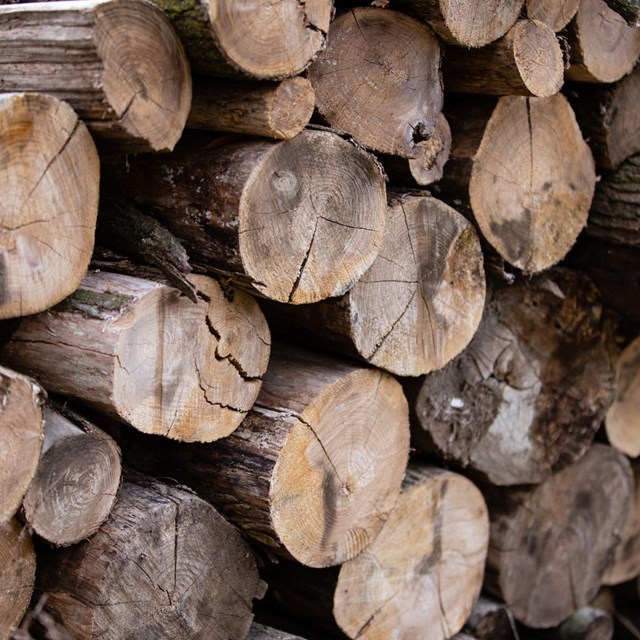 a stack of cut firewood