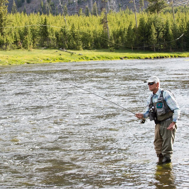 a fly fisherman fishes in a river