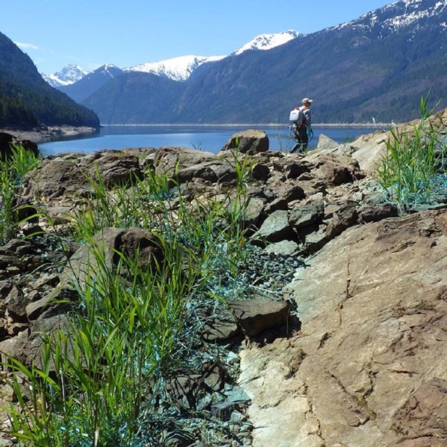 a person sprays weeds in an mountain landscape