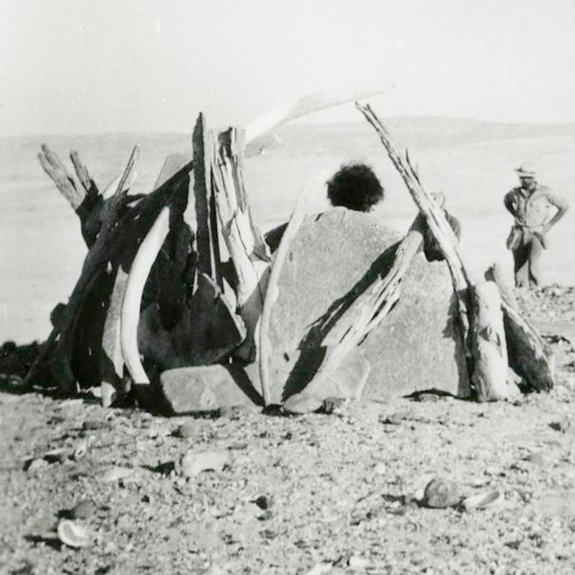 Woman posing in whalebone hut reconstructed from remains of shelter possibly built by the Lone Woman