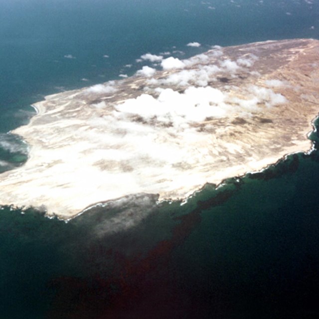Aerial view of island with brown grass and white sand. 
