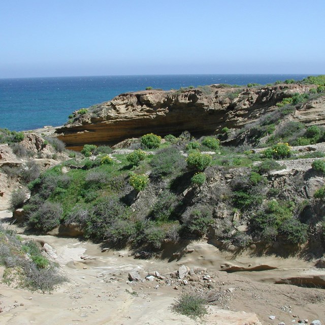 San Nicolas Island Canyon. ©Steve Schwartz